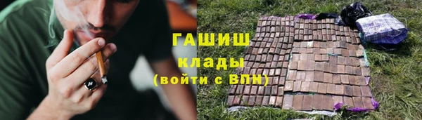 шишки Аркадак