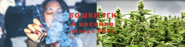 шишки Аркадак