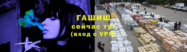 шишки Аркадак